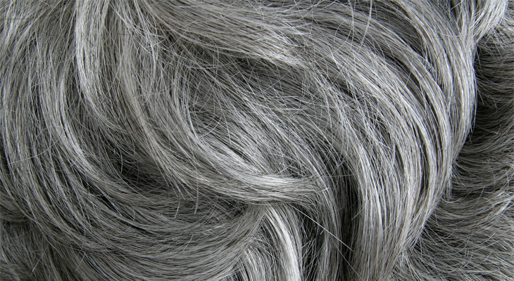 Stop Grey Hair Now The Best Grey Hair Shampoo On The Market